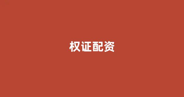 股票配资公司(图1)